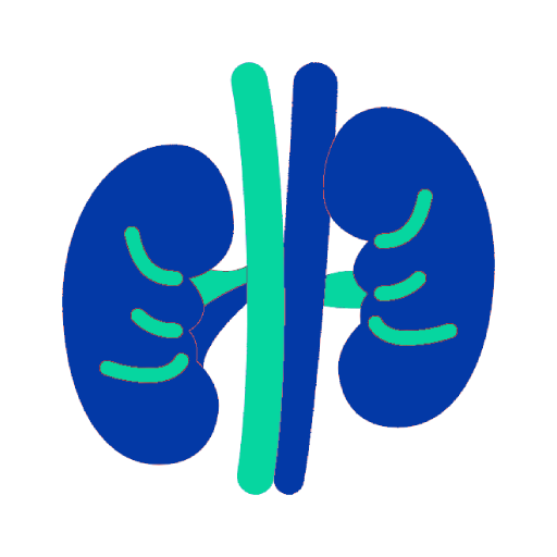 Kidney