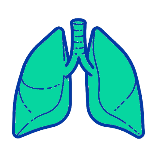 Lungs